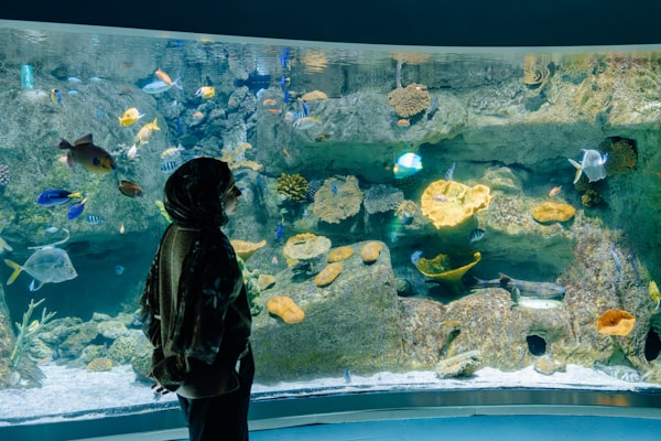 Photo by Jannet Serhan on Unsplash — representative image for Ripley's Aquarium of the Smokies