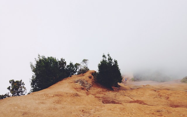 Photo by Ahmet Kurt on Unsplash — representative image for Get Crafty with Wyoming Arts Center