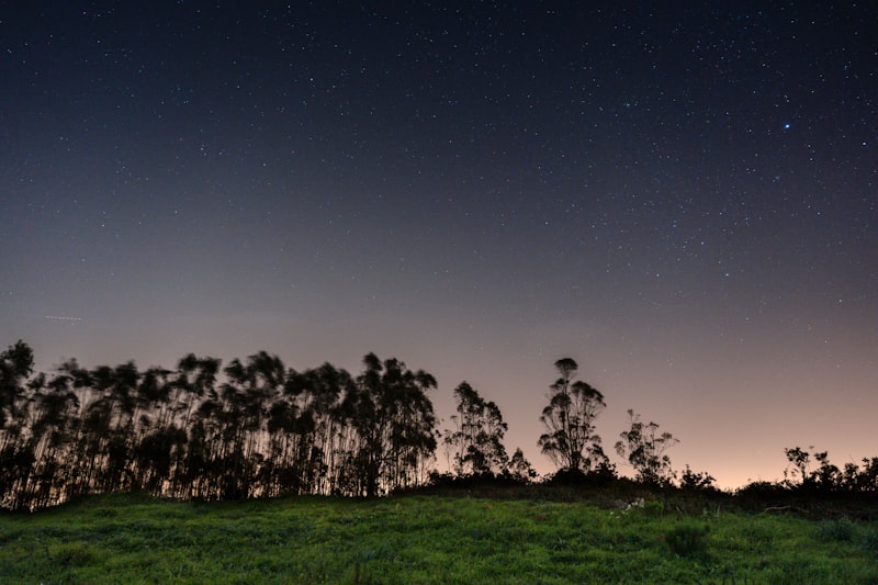 Photo by Tiago Ferreira on Unsplash — representative image for Seattle Astronomical Society