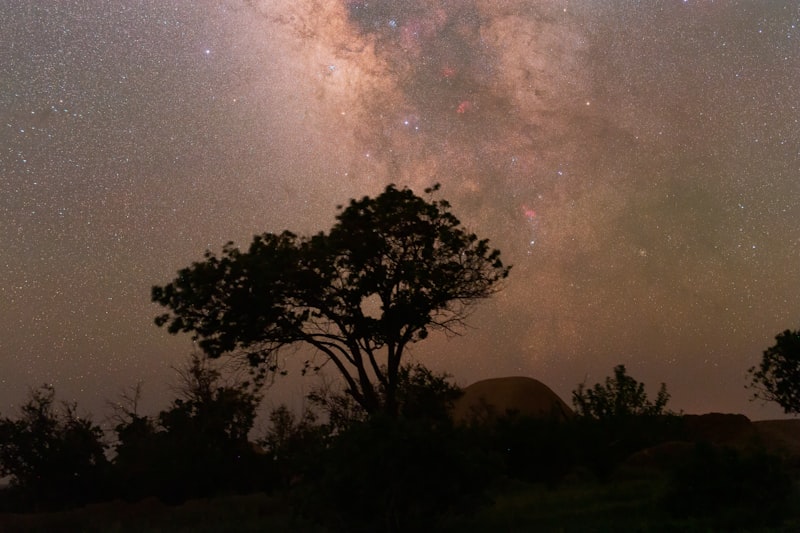 Photo by Amir Shahcheraghian on Unsplash — representative image for Anyone Can Be and Astronomer: Befriending the Night Sky