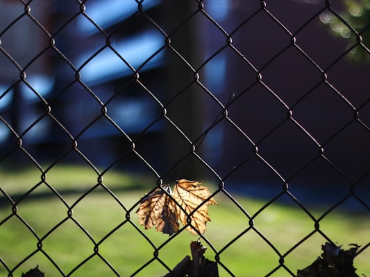 Photo by Matt Dodd on Unsplash — representative image for LMCU Ballpark