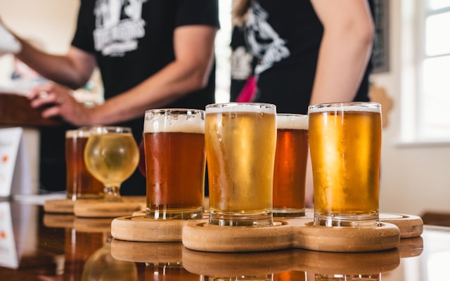 Photo by Meritt Thomas on Unsplash — representative image for MacLeod Ale Brewing Company, LLC