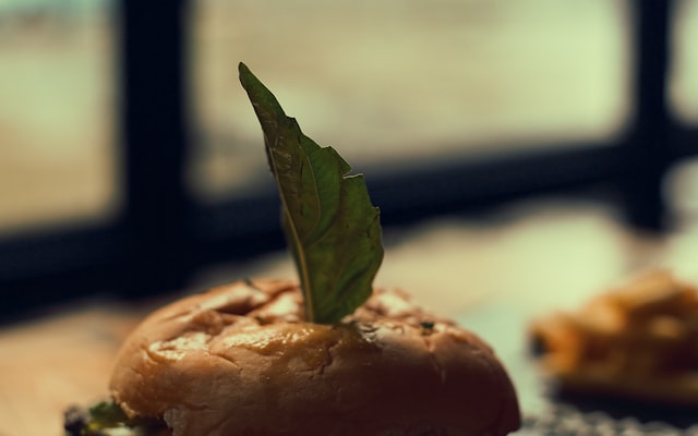 Photo by Yogesh Rahamatkar on Unsplash — representative image for BurgerFi