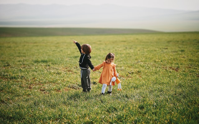 Photo by Andrej Lisakov on Unsplash — representative image for Sam Mihara - Memories of Heart Mountain