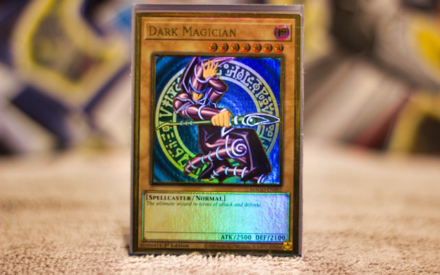 Photo by Keenan Duriaux on Unsplash — representative image for Herps Hobby Shop Inc