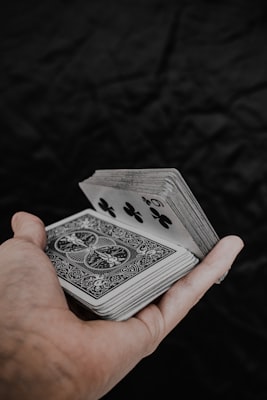 Photo by Jovan Vasiljević on Unsplash — representative image for Pokémon League