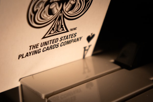 Photo by Jovan Vasiljević on Unsplash — representative image for Pokémon Club