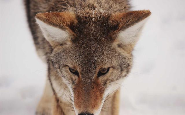 Photo by Khanh Nguyen on Unsplash — representative image for China Feng