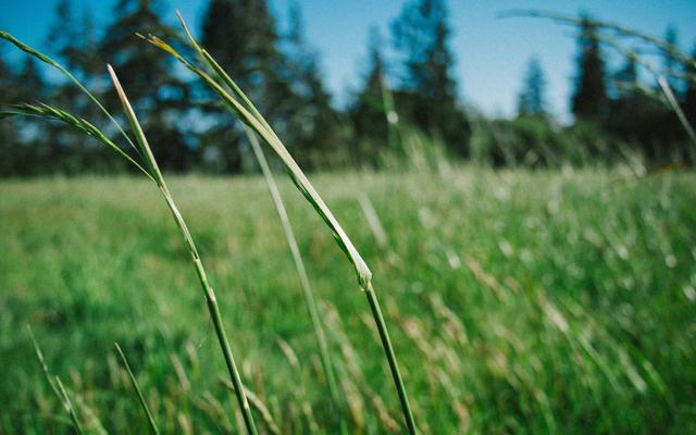 Photo by Khanh Nguyen on Unsplash — representative image for Imperial China Restaurant