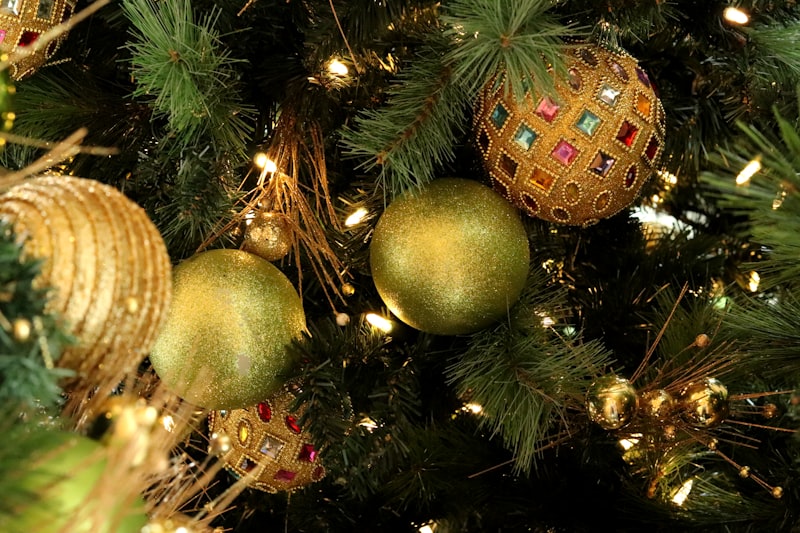 Photo by Cody  Chan on Unsplash — representative image for Campbell Library Closes at 5pm for Christmas