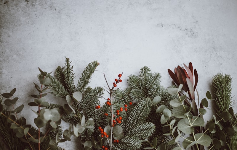 Photo by Annie Spratt on Unsplash — representative image for Jewelry Design Class- Christmas Manger