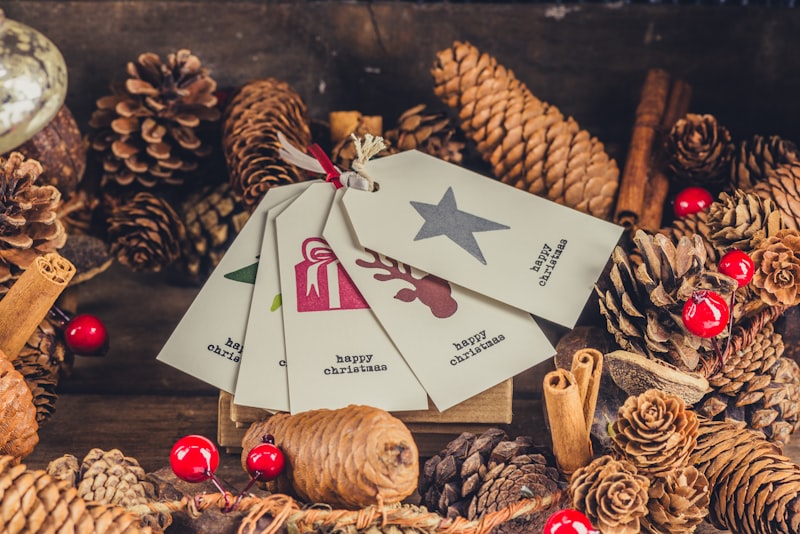 Photo by Jez Timms on Unsplash — representative image for Harry Potter Christmas In The Wizarding World
