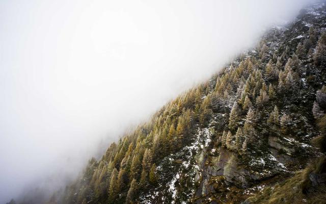 Photo by Stacie Ong on Unsplash — representative image for Rotary West (Basin B/E)