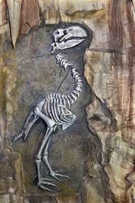 Photo by Preet Patel on Unsplash — representative image for Prehistoric Life: Thriving in a Changing World