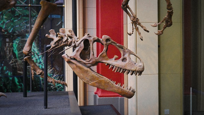 Photo by Arjun Raj on Unsplash — representative image for Prehistoric OC