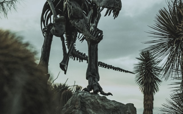Photo by Mac Cervantes on Unsplash — representative image for Jurassic Joel's Magic Show