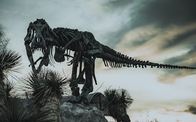 Photo by Mac Cervantes on Unsplash — representative image for Summer Reading Event: Great Arizona Puppet Theatre's My Pet Dinosaur