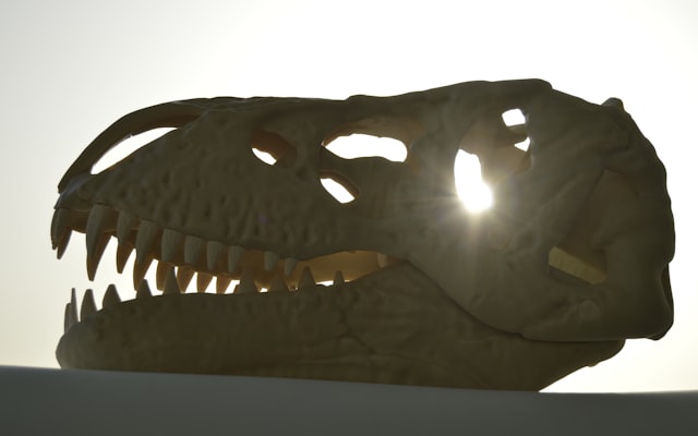 Photo by Richard Multimedia on Unsplash — representative image for Picket Wire Canyonlands Guided Auto Tour