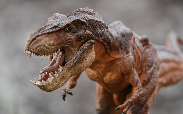 Photo by Elly Enn on Unsplash — representative image for Russell Cave National Monument