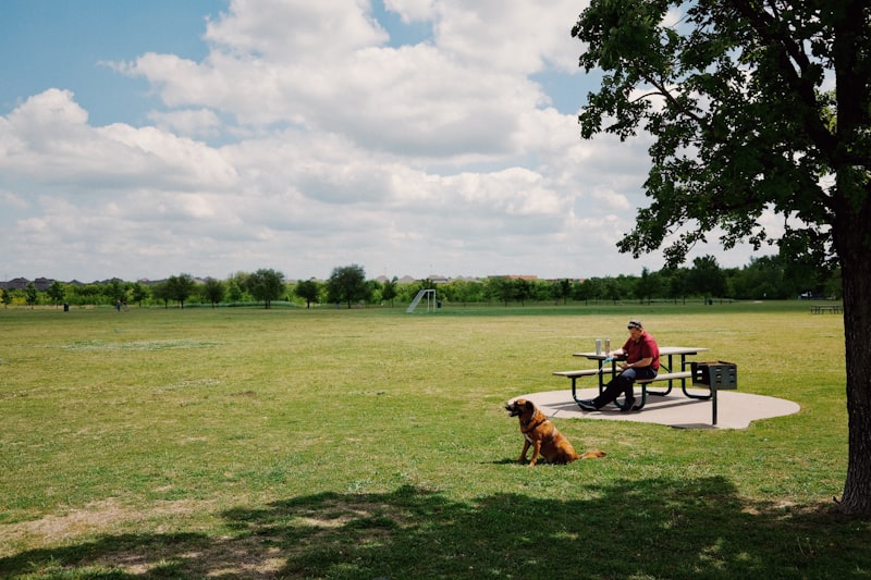 Photo by Fujiphilm on Unsplash — representative image for Whitnall Dog Park