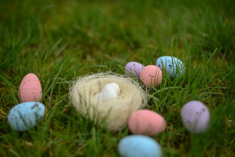Photo by Olena Somak_ua on Unsplash — representative image for Paint Me A Story with Easter Bunny