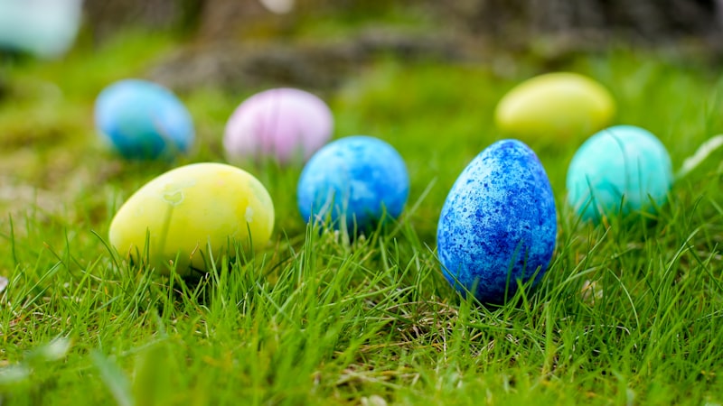 Photo by Miro Vrlik on Unsplash — representative image for Easter Workshop