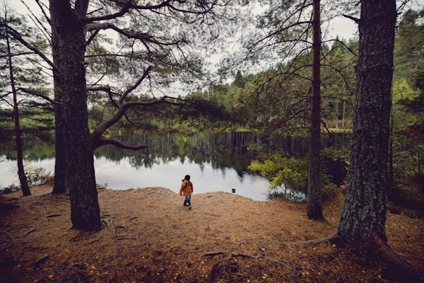 Photo by Robert Bye on Unsplash β representative image for Createch