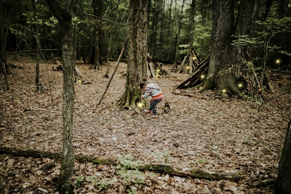 Photo by Sandra Seitamaa on Unsplash — representative image for Wednesday Whimsies: STEAM Team!