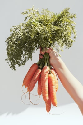 Photo by Zhen Yao on Unsplash — representative image for King Street Station Farmers' Market