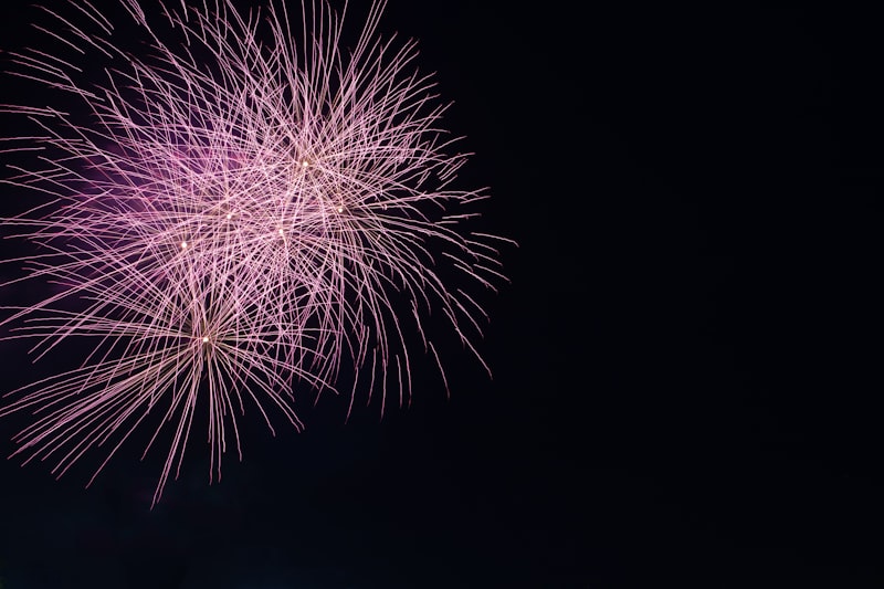 Photo by Jennifer Hyman on Unsplash — representative image for Chicago Fireboat Tours