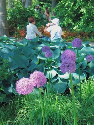 Photo by Charlotte Cowell on Unsplash — representative image for Stonecrest Garden Club