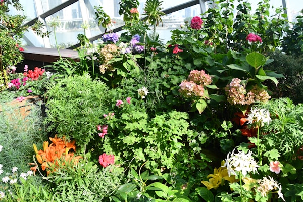 Photo by Mert Ceyhan on Unsplash — representative image for Steep & Paint: Peony with Morgan McGuirk