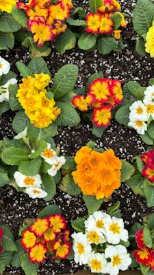 Photo by Agostina Prigioni on Unsplash — representative image for Gibbs Gardens