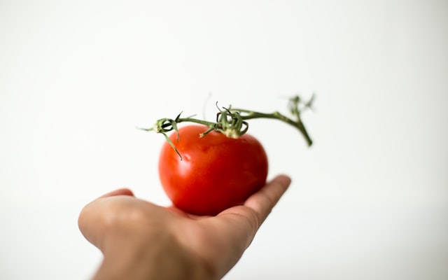 Photo by Leilani Angel on Unsplash — representative image for Teen Time: Flowerpot Decoration