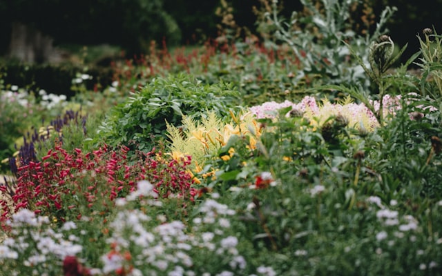 Photo by Annie Spratt on Unsplash — representative image for Garden Days