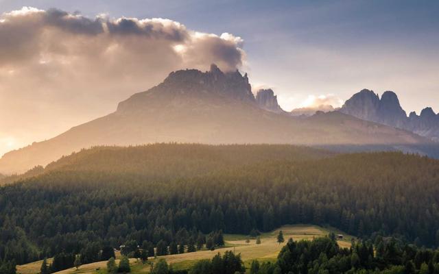 Photo by Llyfrgell Genedlaethol Cymru / The National Library of Wales on Unsplash — representative image for Genealogy Branch