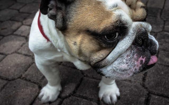 Photo by Annie Spratt on Unsplash — representative image for Sonoma County History & Genealogy