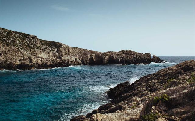 Photo by Eugenia Pan'kiv on Unsplash — representative image for Serving Up Wisdom: Researching Your Roots with Maryland State Archives