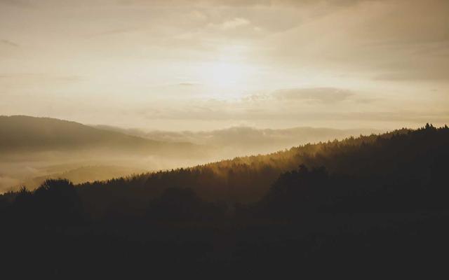 Photo by Fylkesarkivet i Vestland on Unsplash — representative image for Suncoast Genealogy Society DNA Group