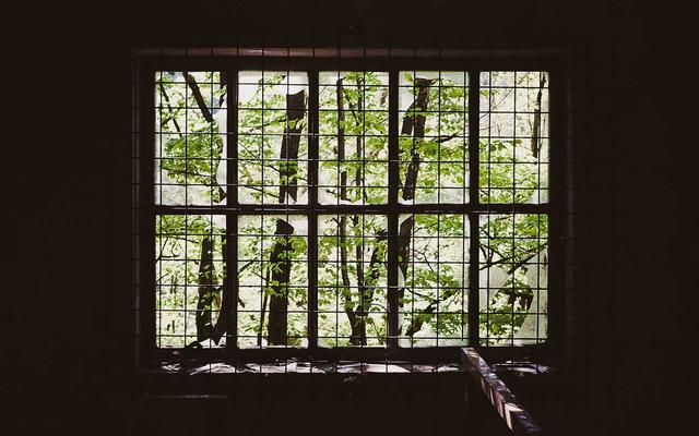 Photo by Fylkesarkivet i Vestland on Unsplash — representative image for Abelardo's Mexican Fresh