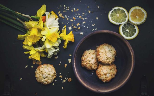 Photo by Annie Spratt on Unsplash — representative image for Genealogy Drop-In