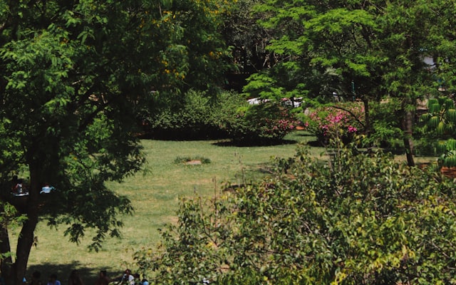 Photo by Ana Beatriz Santos on Unsplash — representative image for Craig Ranch Regional Park