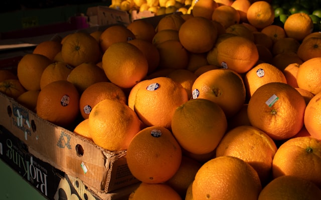 Photo by Izaac Crayton on Unsplash — representative image for La Estrella