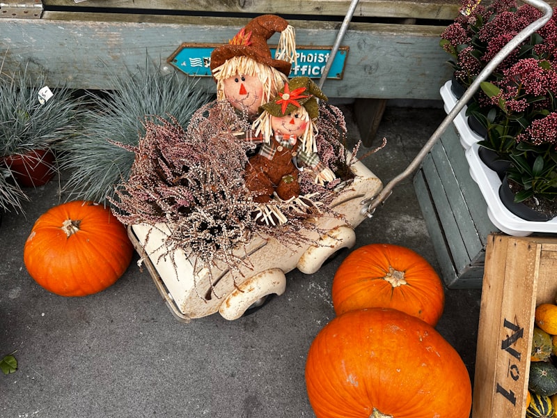 Photo by Ripa Mehrab on Unsplash — representative image for How you can help the victims of the Five Points South Halloween fire