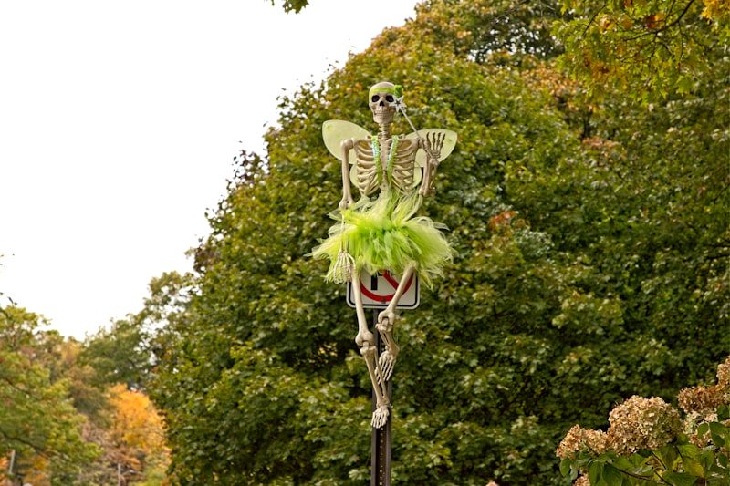 Photo by James Peacock on Unsplash β representative image for The Haunting