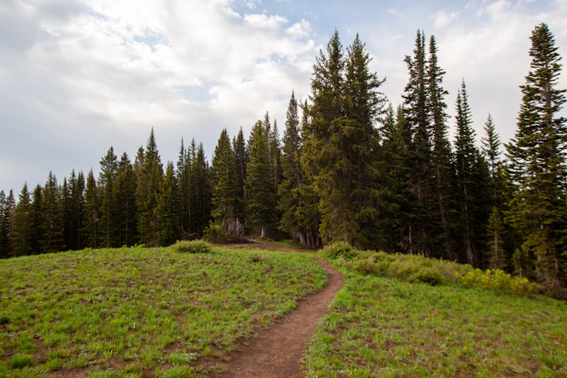 Photo by Backroad Packers on Unsplash — representative image for Hike: Appalachian Trail/Annapolis Rocks, MD