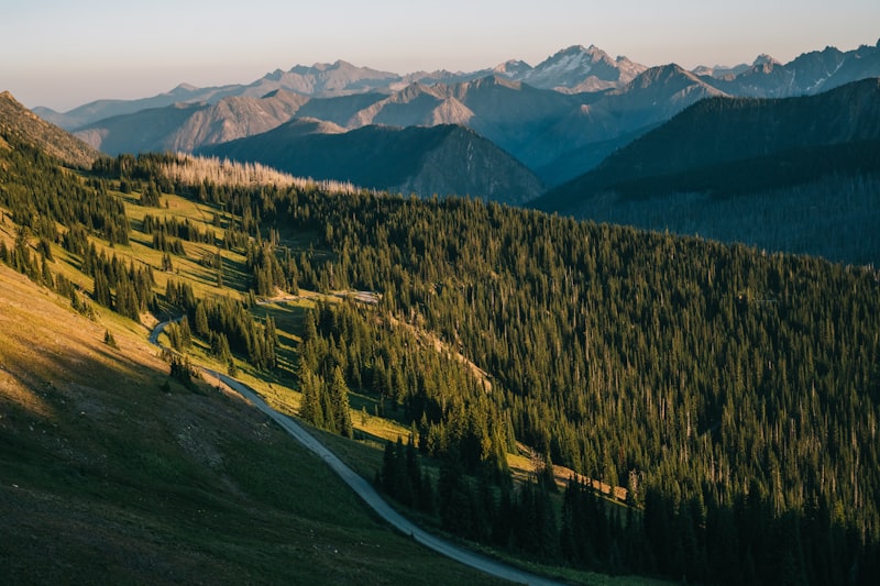 Photo by Brendan Morrison on Unsplash — representative image for Parson's Landing Campground