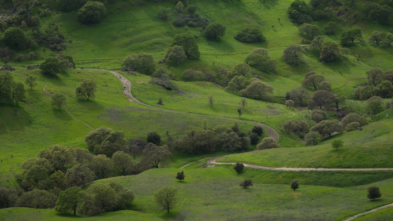 Photo by Dorsa Fathollahi on Unsplash — representative image for Reese & Ray's IGA