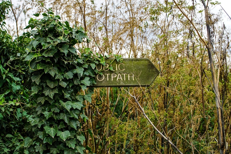 Photo by Tom Wheatley on Unsplash — representative image for Passive Puzzling at Stone Mountain