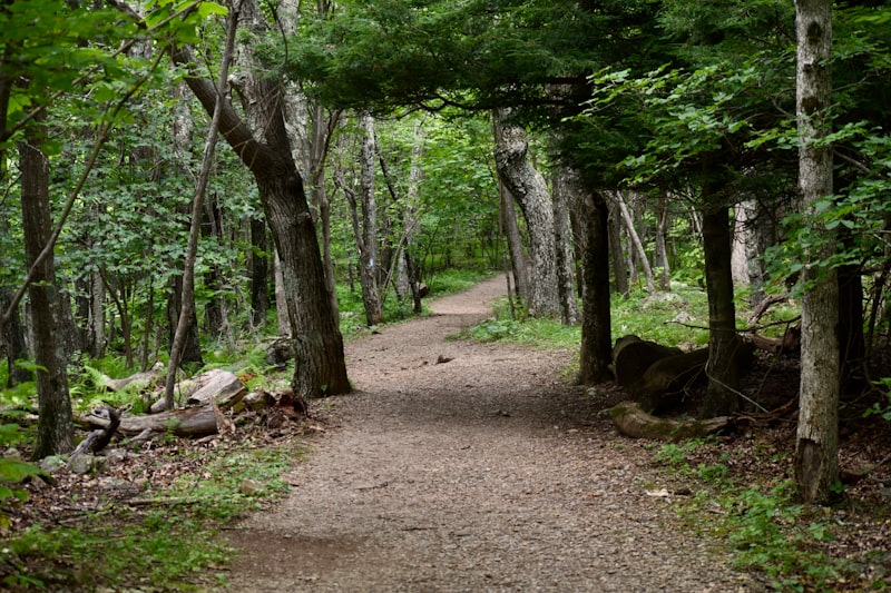 Photo by Praswin Prakashan on Unsplash — representative image for Luxury Hike & Sail: Explore Croatia's Coast in Style